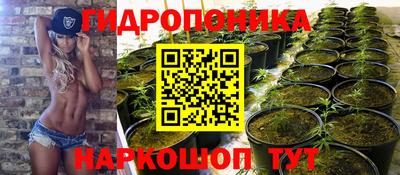 спиды Ирбит