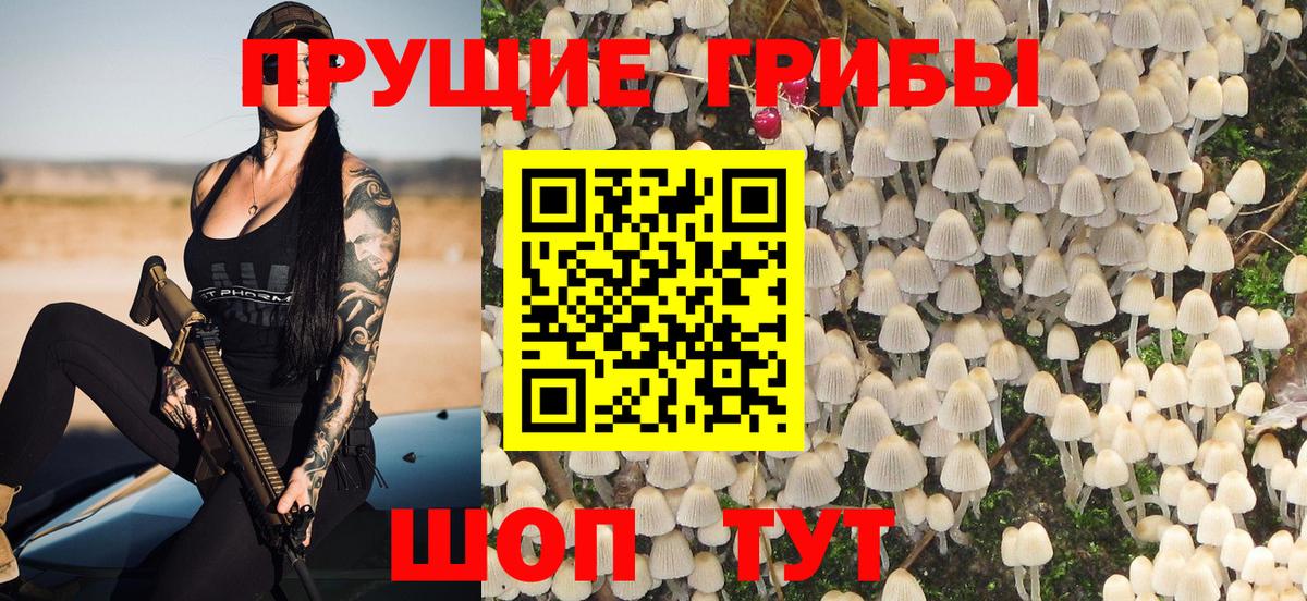 Псилоцибиновые грибы прущие грибы Ставрополь