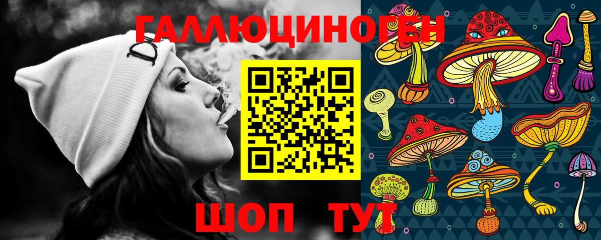 Ставрополь  Галлюциногенные грибы Psilocybe  закладки  Вход с VPN 